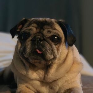 Meet your Posher, Christopher